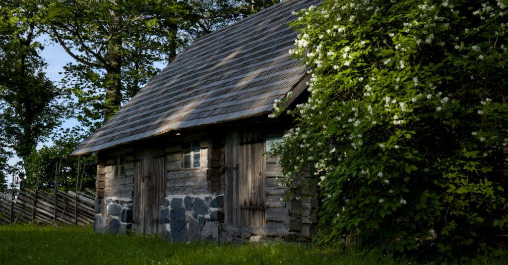 Quaint wooden cabin nestled amidst lush greenery during daylight.